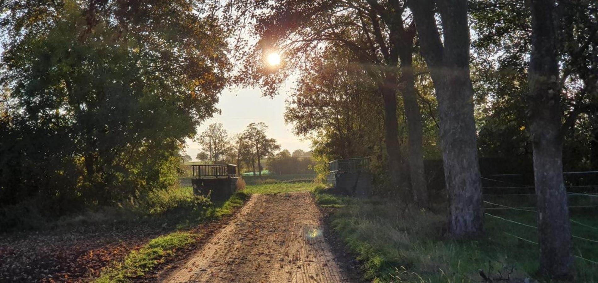 Ferienhaus Q1, Ruhe Und Erholung In Der Eifel Zulpich Buitenkant foto