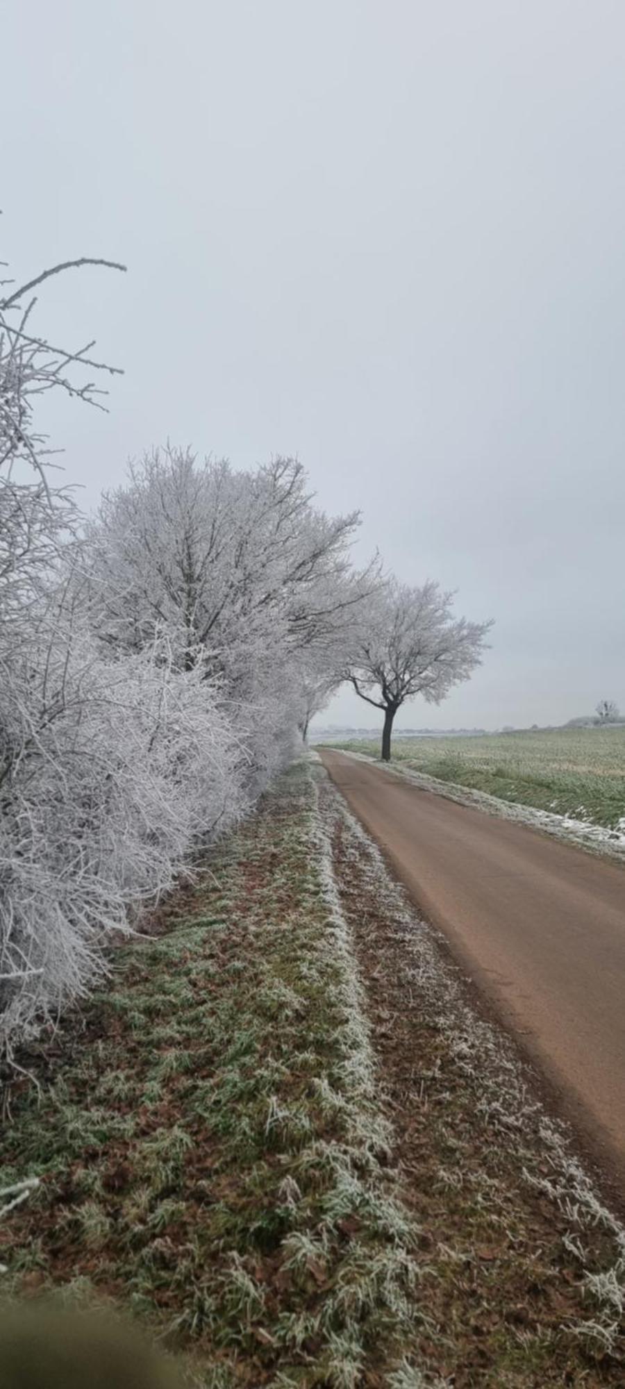 Ferienhaus Q1, Ruhe Und Erholung In Der Eifel Zulpich Buitenkant foto